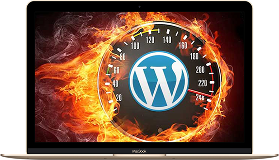 features-speed features-speed