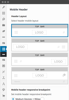 features-themeoption-2 features-themeoption-2